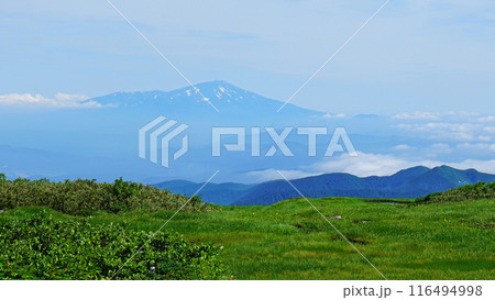 月山弥陀ヶ原 山形県 月山弥陀ヶ原 山形県 116494998