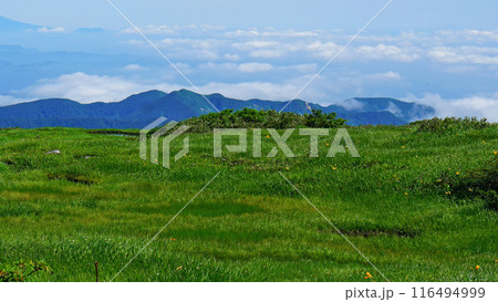 月山弥陀ヶ原　山形県 116494999