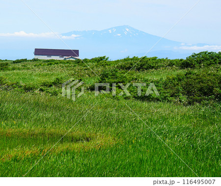 月山弥陀ヶ原　山形県 116495007