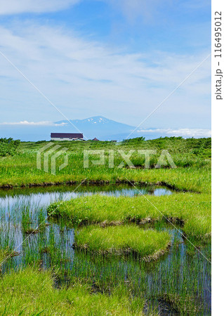 月山弥陀ヶ原 山形県 月山弥陀ヶ原 山形県 116495012