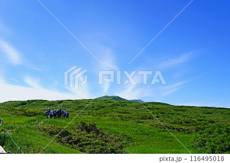 月山弥陀ヶ原 山形県 月山弥陀ヶ原 山形県 116495018