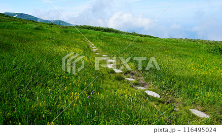 月山弥陀ヶ原 山形県 月山弥陀ヶ原 山形県 116495024