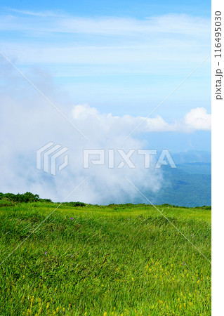 月山弥陀ヶ原　山形県 116495030