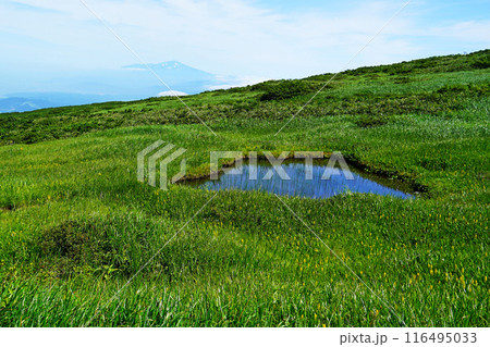 月山弥陀ヶ原 山形県 月山弥陀ヶ原 山形県 116495033