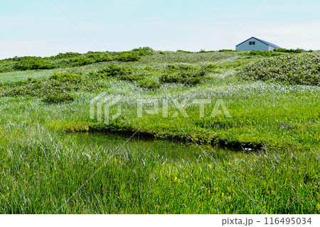 月山弥陀ヶ原　山形県 116495034