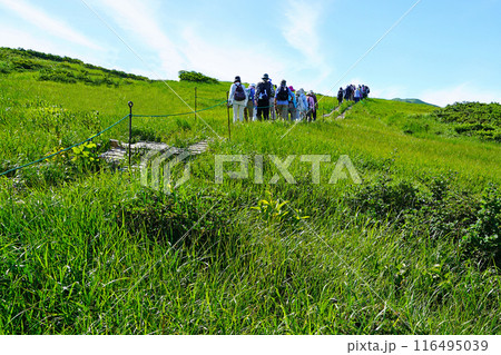 月山弥陀ヶ原　山形県 116495039