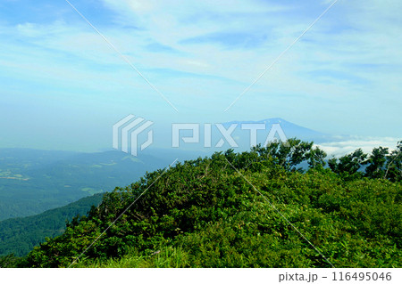 月山弥陀ヶ原 山形県 月山弥陀ヶ原 山形県 116495046