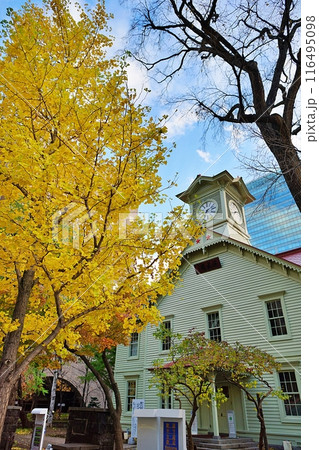秋の札幌時計台 116495098