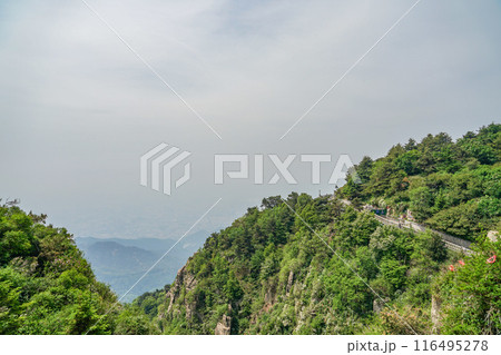 泰山の風景 116495278