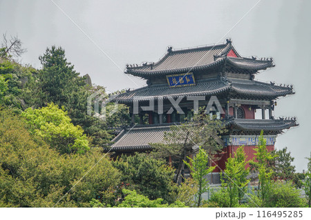 泰山の風景 泰山の風景 116495285