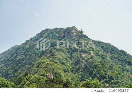 泰山 泰山 116495327