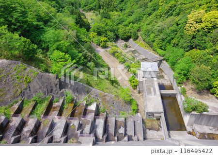 兵庫県淡路島　牛内ダム 116495422