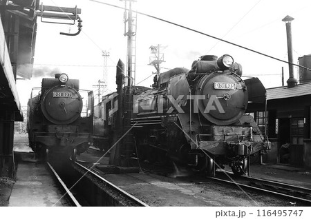 車両基地に停車するD51形蒸気機関車(1107号機と135号機) 車両基地に停車するD51形蒸気機関車(1107号機と135号機) 116495747