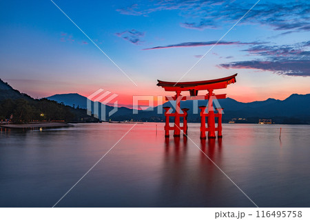 厳島神社・大鳥居　マジックアワー 116495758