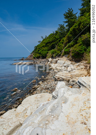 東尋坊　福井県坂井市三国町安島 116496002