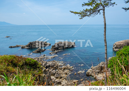 東尋坊　福井県坂井市三国町安島 116496004