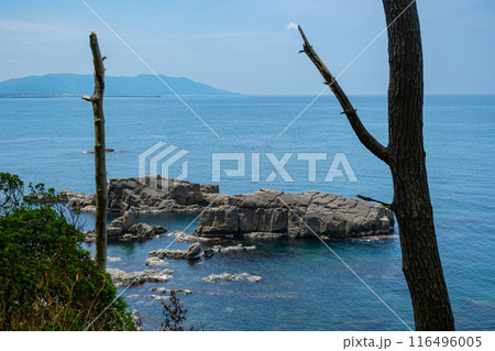 東尋坊 福井県坂井市三国町安島 東尋坊 福井県坂井市三国町安島 116496005