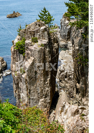 東尋坊　福井県坂井市三国町安島 116496007