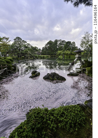 桜の花びらが水面に流れる兼六園 桜の花びらが水面に流れる兼六園 116496164