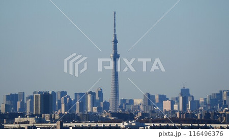 東京スカイツリーと東京都心部の高層ビル群 東京スカイツリーと東京都心部の高層ビル群 116496376