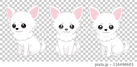 チワワのおすわりイラストセット1 チワワのおすわりイラストセット1 116496603