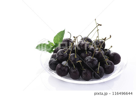 アメリカンチェリー （ 白背景 ） 116496644