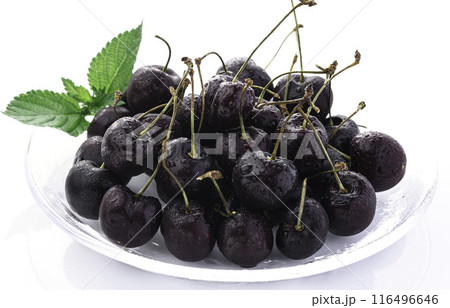 アメリカンチェリー （ 白背景 ） 116496646