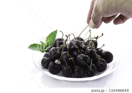 アメリカンチェリー （ 白背景 ） 116496649