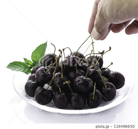 アメリカンチェリー （ 白背景 ） 116496650