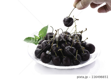 アメリカンチェリー （ 白背景 ） 116496651