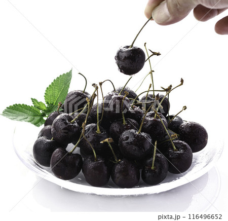 アメリカンチェリー （ 白背景 ） 116496652