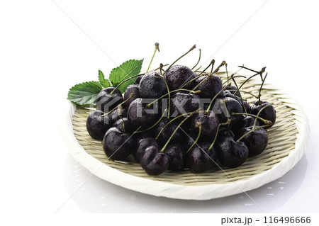 アメリカンチェリー （ 白背景 ） 116496666