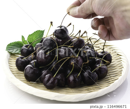 アメリカンチェリー （ 白背景 ） 116496671