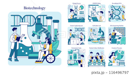 Biotechnology set. DNA manipulation, genetic engineering, and vaccine development processes. Educational illustration of modern laboratory techniques. Vector illustration. Biotechnology set. DNA manipulation, genetic engineering, and vaccine development processes. Educational illustration of modern laboratory techniques. Vector illustration. 116496797