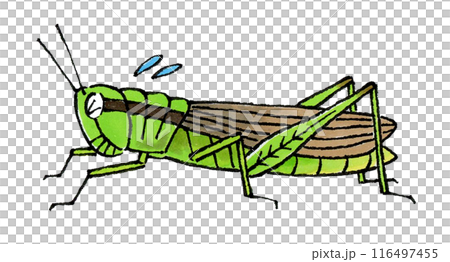 Troubled locusts 116497455