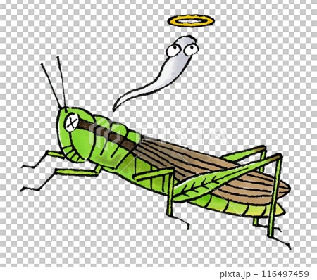 Dead locust Dead locust 116497459