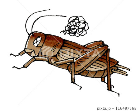 瀕死のコオロギ 116497568
