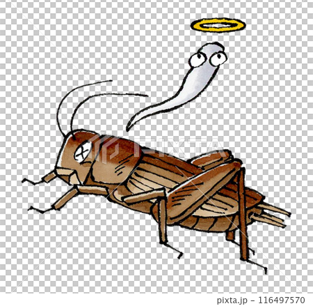 Dead Cricket Dead Cricket 116497570