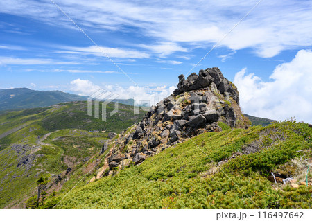 【八ヶ岳】東天狗岳山頂から見る天狗の鼻 116497642