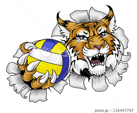 Wildcat Cougar Lynx Lion Volleyball Claw Mascot 116497797
