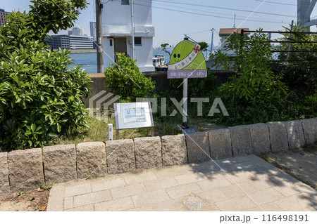 大阪/晴れた日の天保山公園の山頂(2024年6月14日撮影) 大阪/晴れた日の天保山公園の山頂(2024年6月14日撮影) 116498191