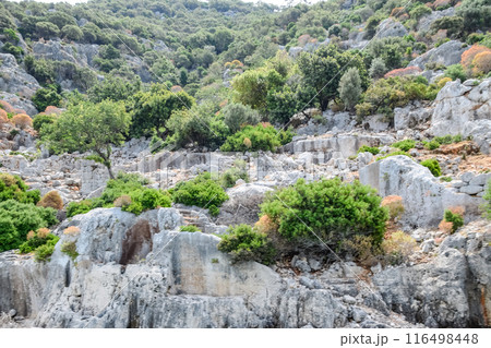 The ruins of the city of Mira, Kekova The ruins of the city of Mira, Kekova 116498448