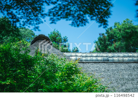 緑に囲まれた古い建物 116498542