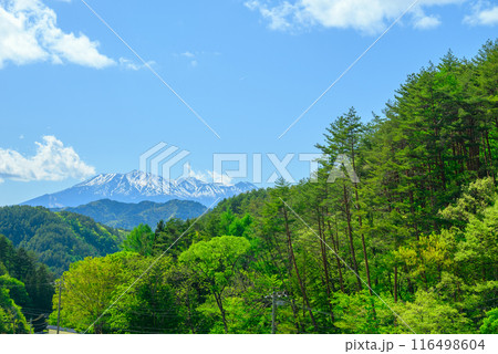 新緑と残雪の御岳山【木曽郡木曽町より撮影】 新緑と残雪の御岳山【木曽郡木曽町より撮影】 116498604
