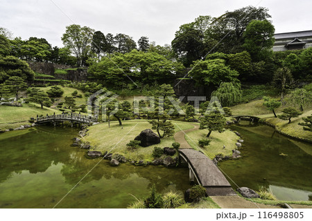 新緑が美しい金沢城玉泉院丸庭園 116498805