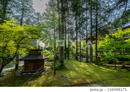永平寺納経塔　福井県吉田郡永平寺町 116499175