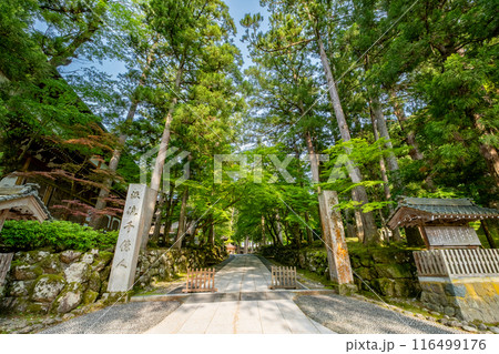 永平寺龍門 福井県吉田郡永平寺町 永平寺龍門 福井県吉田郡永平寺町 116499176