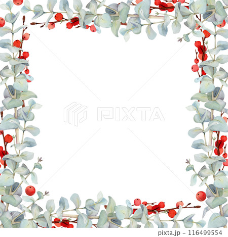 Eucalyptus laurel branches leaves with red berries. Watercolor hand drawn illustration, border frame isolated on white. Xmas, happy new year festive, noel navidad. Cards, gifts, florist shop, wedding. Eucalyptus laurel branches leaves with red berries. Watercolor hand drawn illustration, border frame isolated on white. Xmas, happy new year festive, noel navidad. Cards, gifts, florist shop, wedding. 116499554