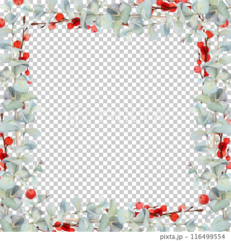 Eucalyptus laurel branches leaves with red berries. Watercolor hand drawn illustration, border frame isolated on white. Xmas, happy new year festive, noel navidad. Cards, gifts, florist shop, wedding. Eucalyptus laurel branches leaves with red berries. Watercolor hand drawn illustration, border frame isolated on white. Xmas, happy new year festive, noel navidad. Cards, gifts, florist shop, wedding. 116499554