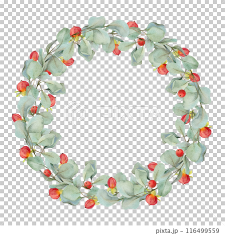 Eucalyptus laurel branches, leaves with red berries. Watercolor hand drawn illustration, wreath chaplet crown frame isolated on white. Xmas cards, happy new year festive, noel navidad. Florist wedding 116499559